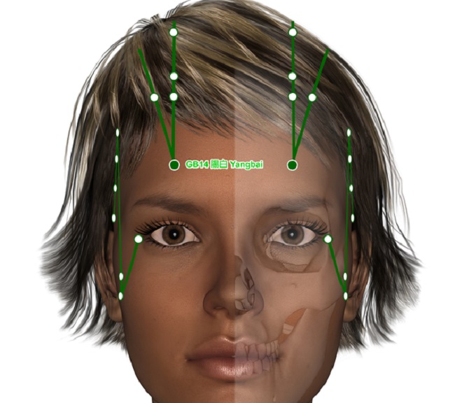 acupressure-acupuncture channels-meridian image