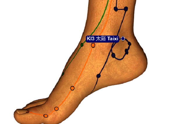 acupressure channels of the foot acupressure channels of the foot