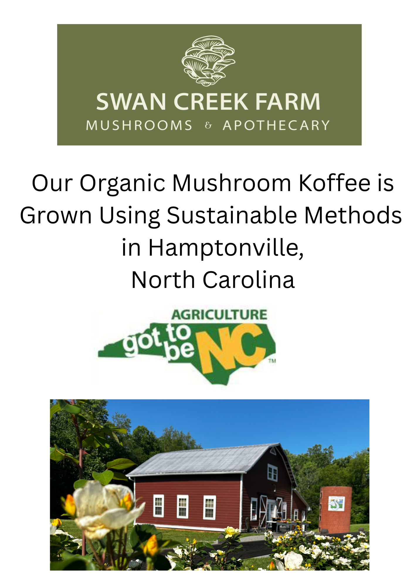 mushroom coffee point of sale material