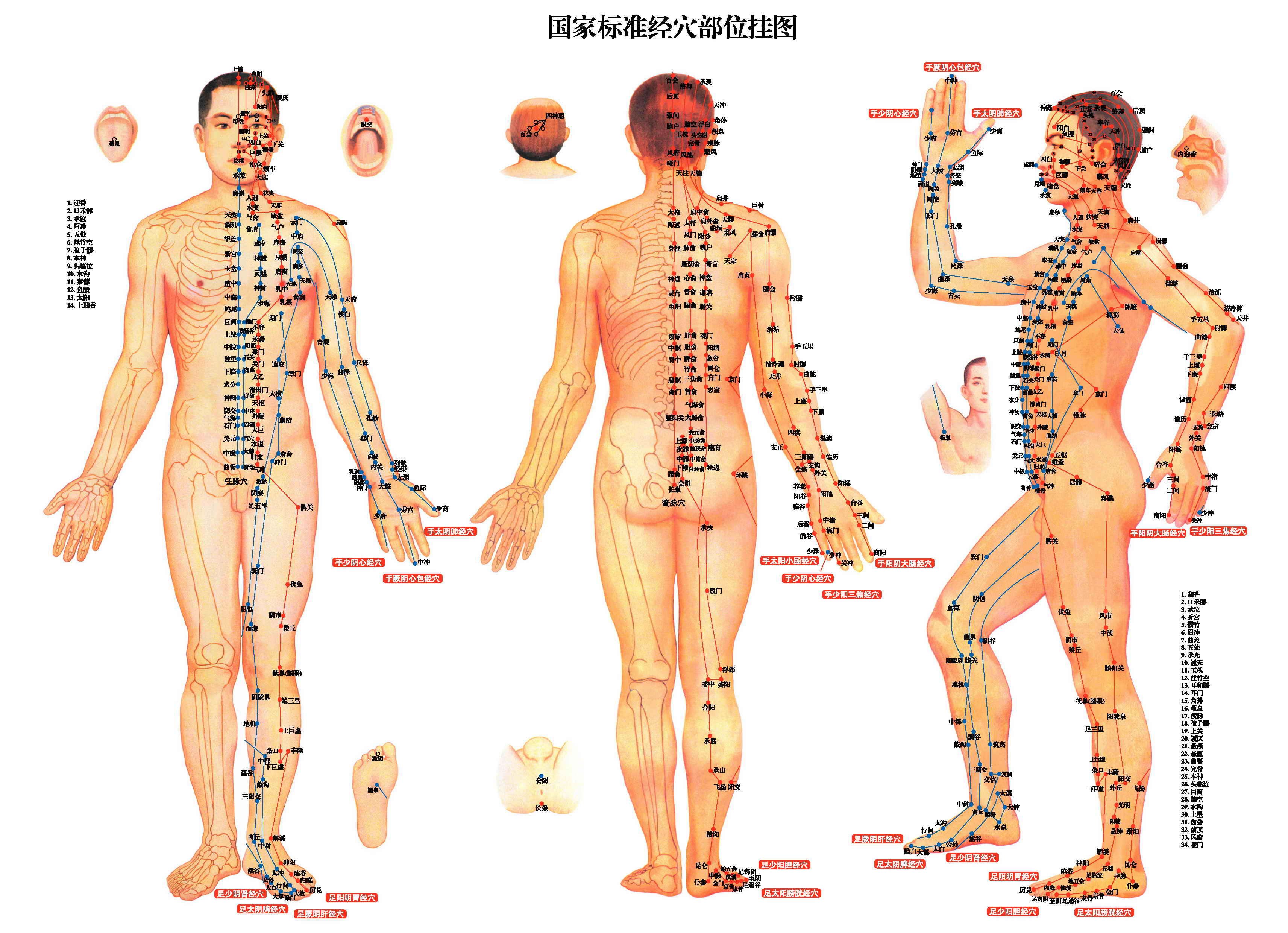 acupressure-acupuncture channels-meridian image acupressure-acupuncture channels-meridian image