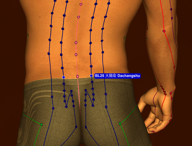 acupuncture channels associated with lower back pain