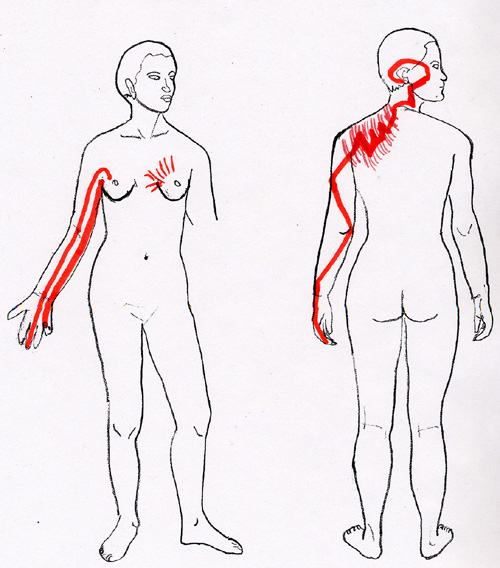 HT SI SJ PER Acupressure Channels