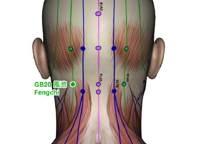 gallbladder-20-acupressure-point-location-v.2.jpg