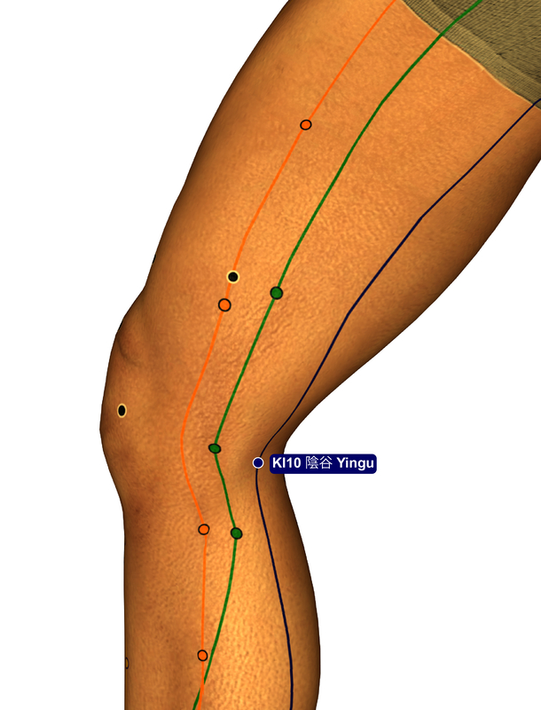 kidney leg acupuncture channel Chinese medicine