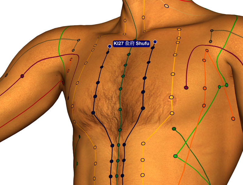 kidney chest acupuncture channel Chinese medicine