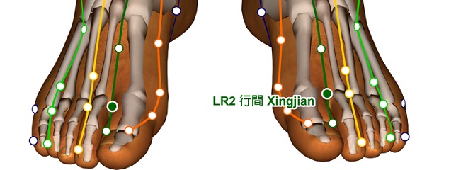 liver-2-acupressure-point-location-v.3.jpg