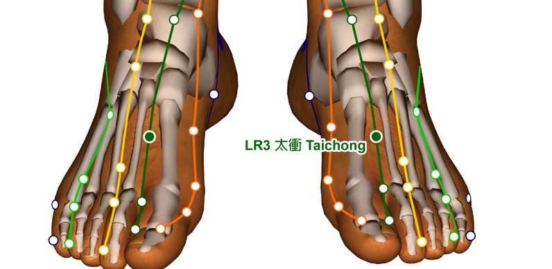 Liver 3 Lv3 Acupressure Point Uses Benefits Video Ageless Herbs