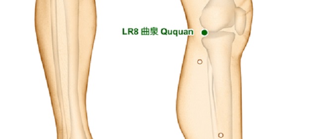 Liver 3 Acupuncture Point (loation & Functions) 