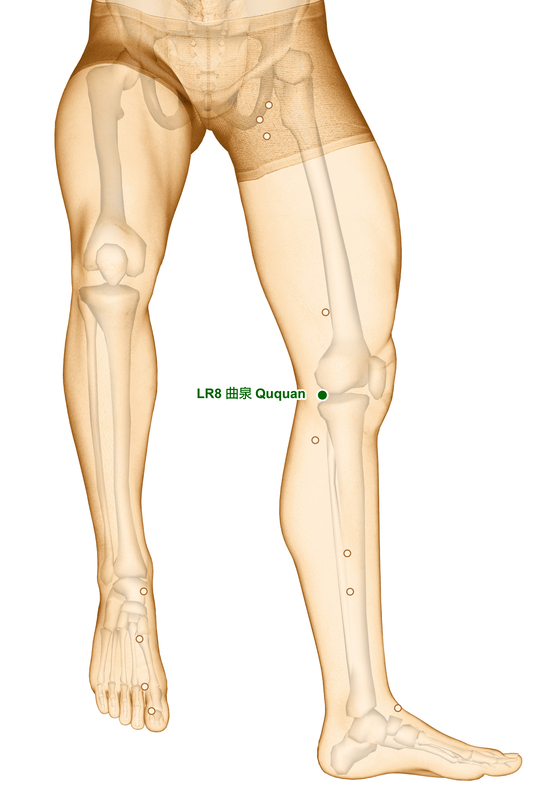 Yin Yang House  Acupuncture Points On The Liver Meridian