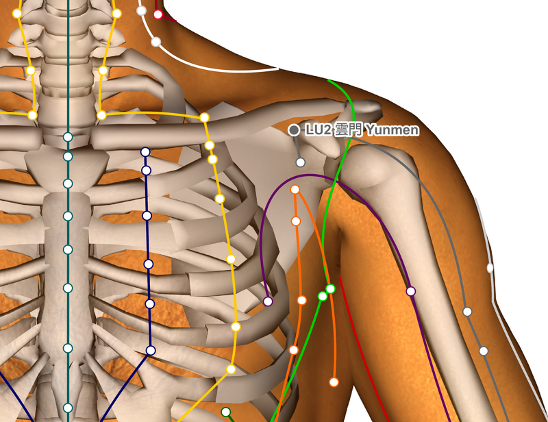 shoulder acupuncture channels