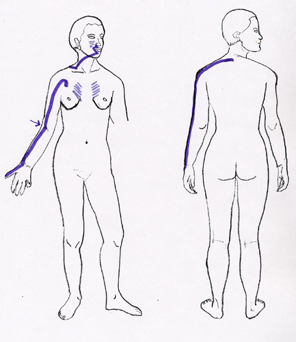 LU LI Acupressure Channels LU LI Acupressure Channels