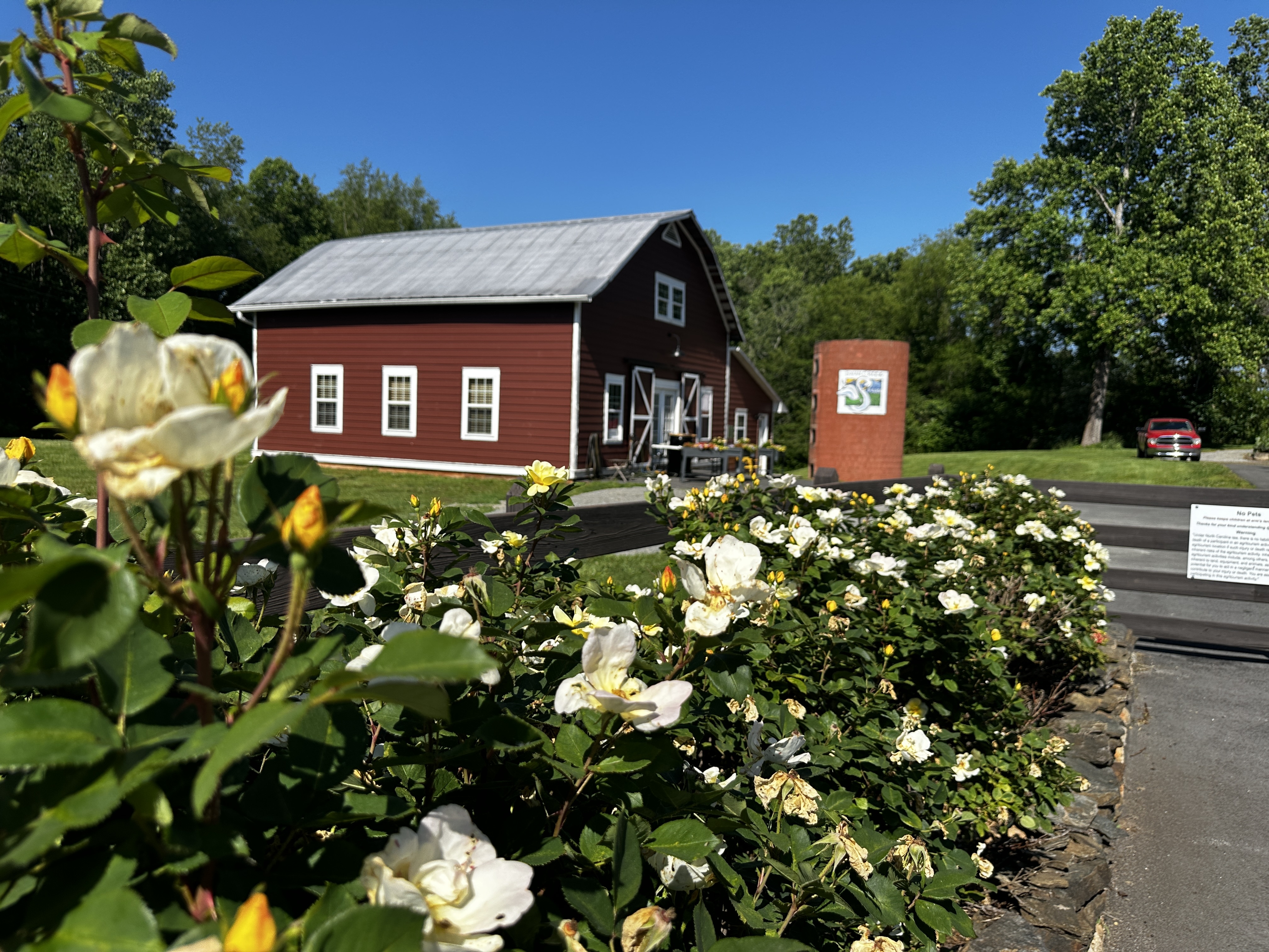 mushroom farm store and apothecary