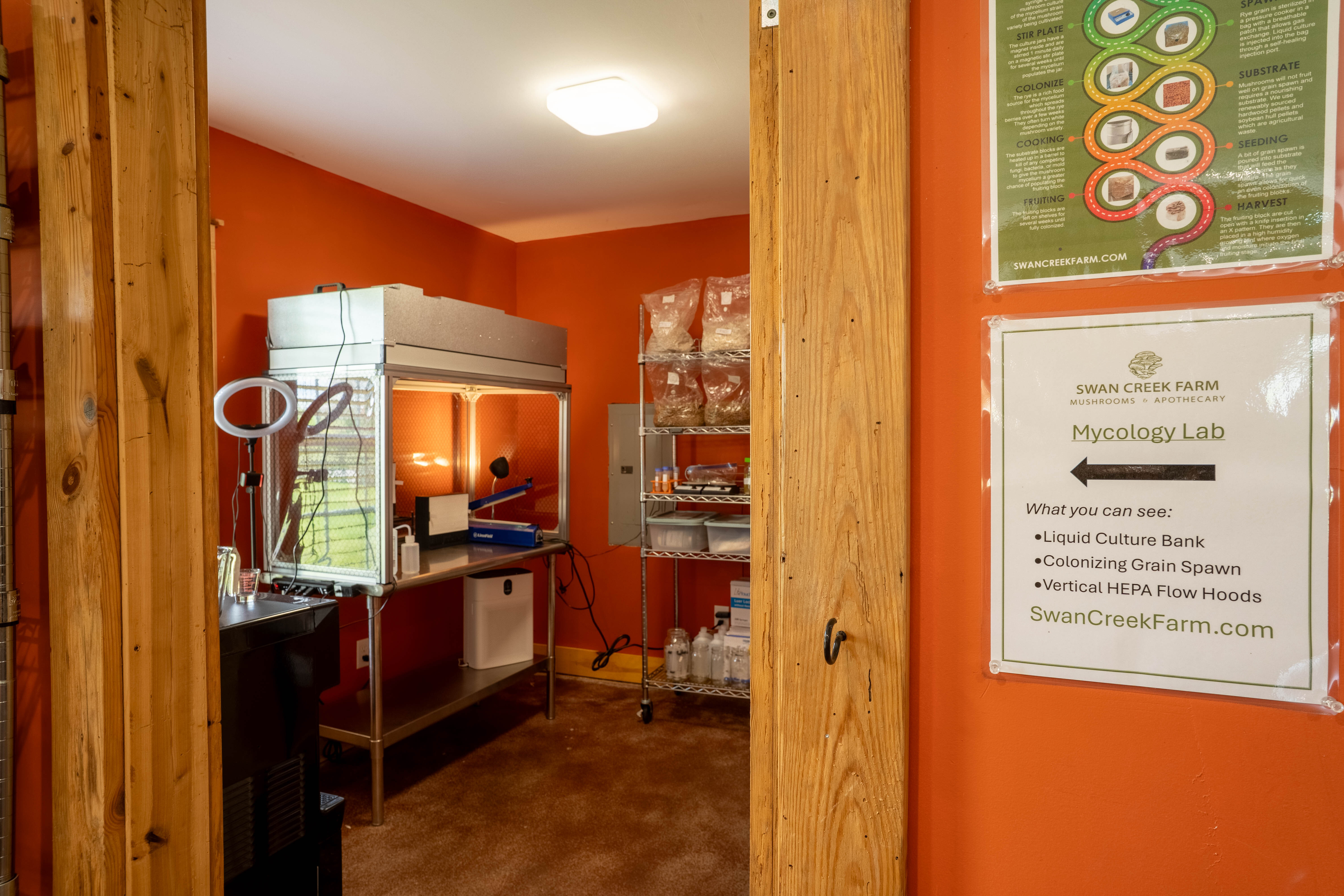 mycology lab