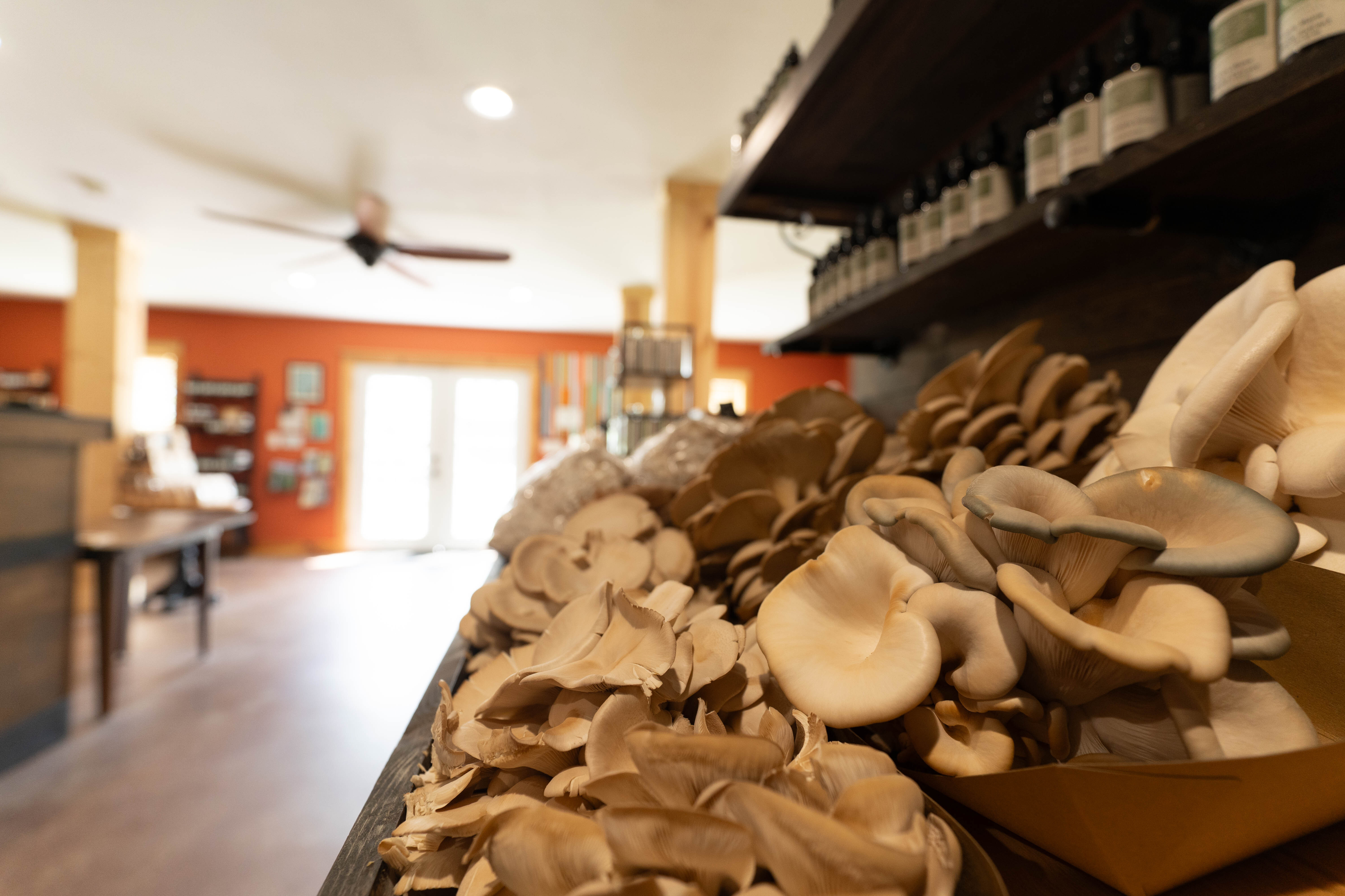 Inside Mushroom Farm Store