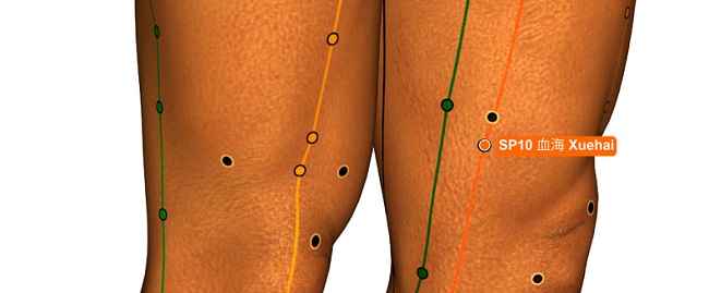 spleen-10-acupressure-point-location-v.2.jpg