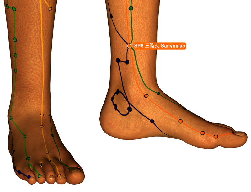 Spleen 6 Acupressure Point Sp6 Benefits Location Video Ageless Herbs 1353