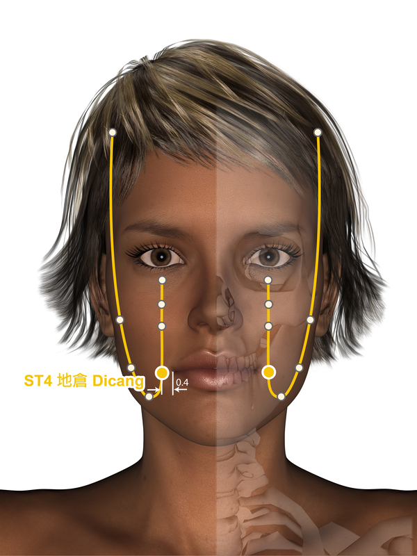 acupressure-acupuncture channels-meridian image