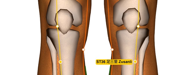 stomach-36-acupressure-point-v.2.jpg