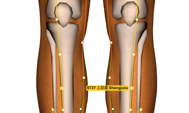 stomach-37-acupressure-point-v.2.jpg