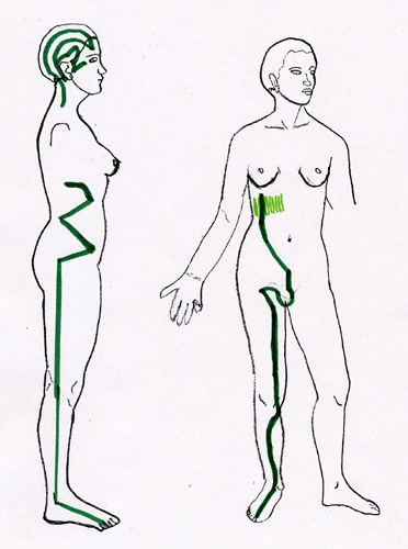 LV GB Acupressure Channels