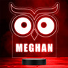 Owl Eyes & Beak Bird Animal Lover LED Lamp Personalized Gift Night Light