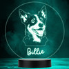 Blue Heller Dog Pet MultiColor Personalized Gift LED Lamp Night Light
