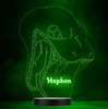 Cobra Snake 3D Effect Personalized Gift Color Changing LED Lamp Night Light