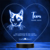 Cat Pet Loss Memorial Forever In My 6 Personalized Gift Color Lamp Night Light