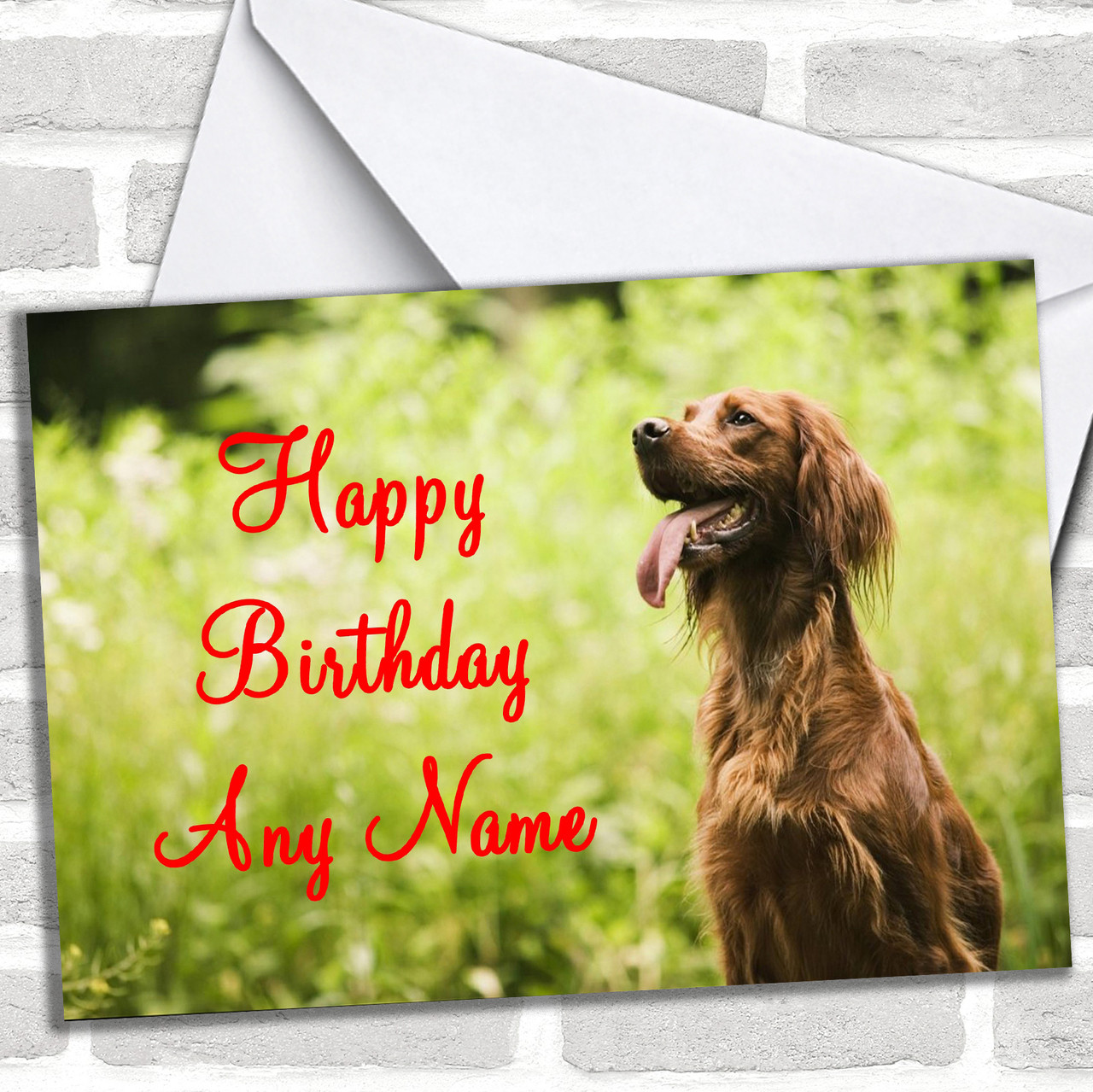 Setter Dog Personalized Birthday Card Red Heart Print
