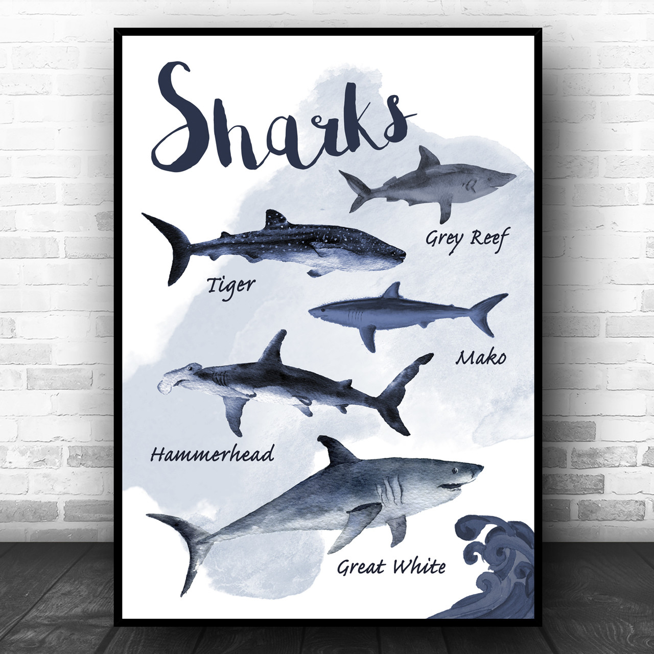 types of sharks poster