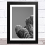 Shades Of Grey Cactus Wall Art Print