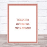 The Expert Was Once A Beginner Quote Print Poster Rose Gold Wall Art