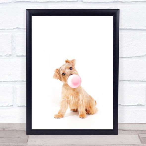Dog Norfolk Terrier Bubblegum Wall Art Print
