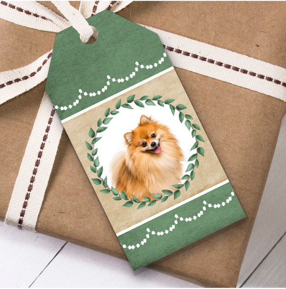 Pomeranian Dog Green Birthday Present Favor Gift Tags