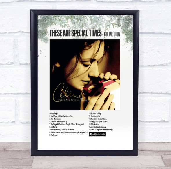 Celine Dion These Are Special Times Music Polaroid Vintage Music Wall Art Poster Print