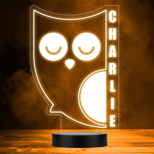 Sleeping Owl Character Cartoon Bird LED Lamp Personalized Gift Night Light