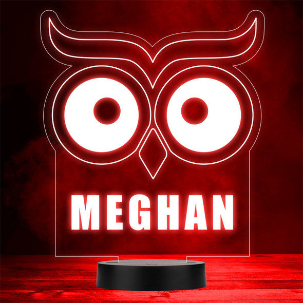 Owl Eyes & Beak Bird Animal Lover LED Lamp Personalized Gift Night Light