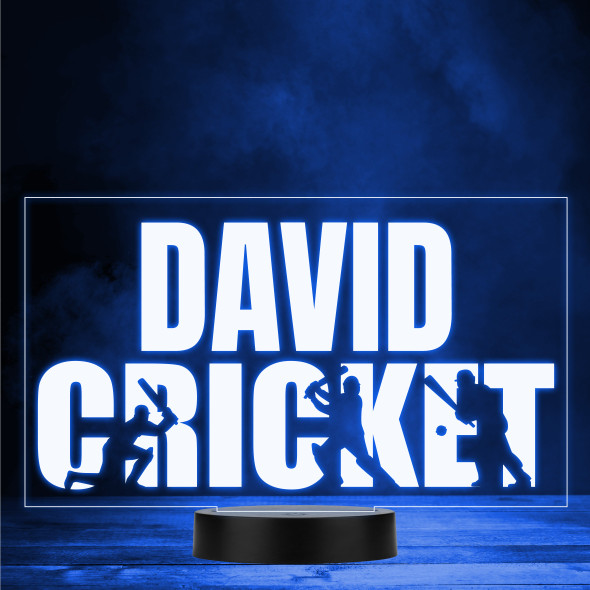 Cricket Players Silhouettes Sports Fan Personalized Color Changing Lamp Night Light