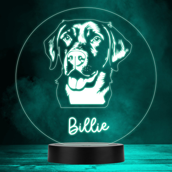 Labrador Retriever Dog Pet MultiColor Personalized Gift LED Lamp Night Light