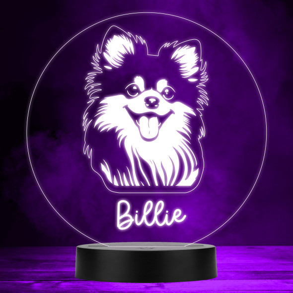 Pomeranian Dog Pet Silhouette MultiColor Personalized Gift LED Lamp Night Light