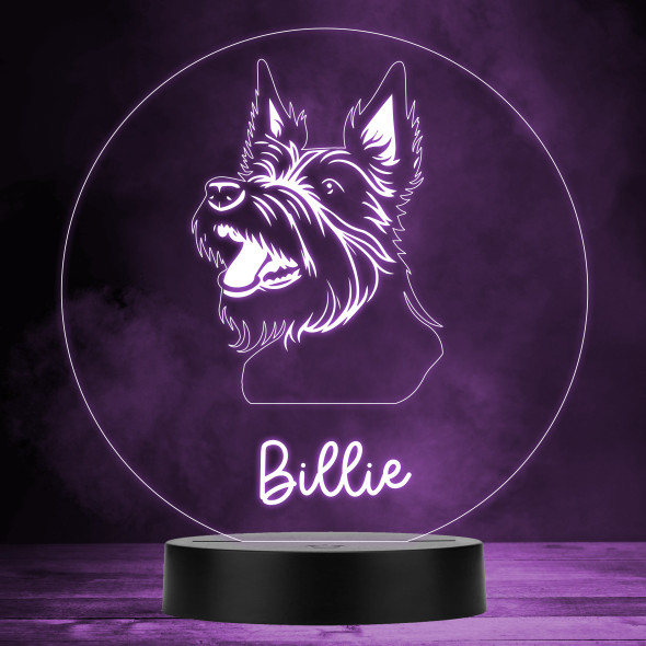 Scottish Terrier Dog Pet MultiColor Personalized Gift LED Lamp Night Light