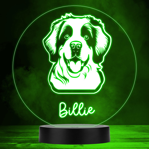 St. Bernard Dog Pet MultiColor Personalized Gift LED Lamp Night Light