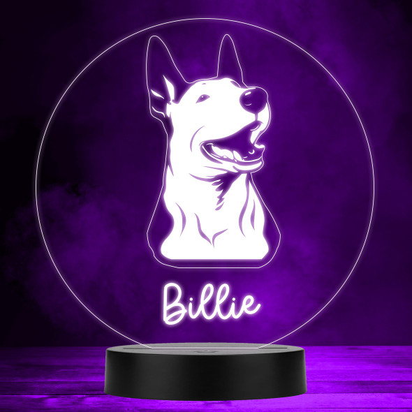 Bull Terrier Dog Pet MultiColor Personalized Gift LED Lamp Night Light