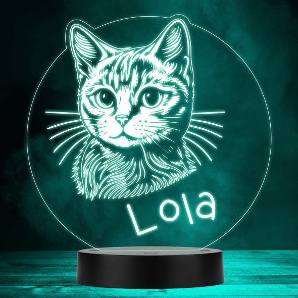 Cat Pet Line Drawing MultiColor Personalized Gift LED Lamp Night Light