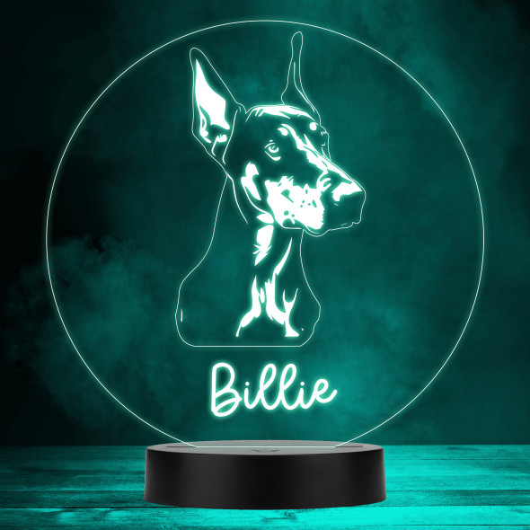 Dobermann Dog Pet Silhouette MultiColor Personalized Gift LED Lamp Night Light