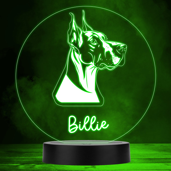 Great Dane Dog Pet Silhouette MultiColor Personalized Gift LED Lamp Night Light