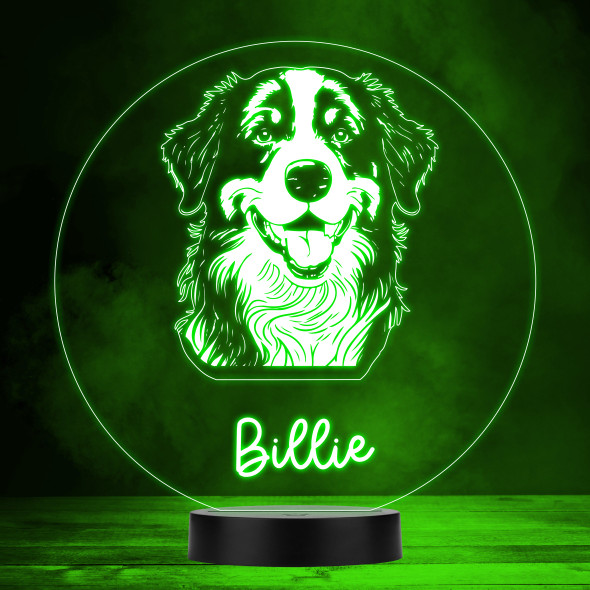 Bernese Mountain Dog Pet MultiColor Personalized Gift LED Lamp Night Light