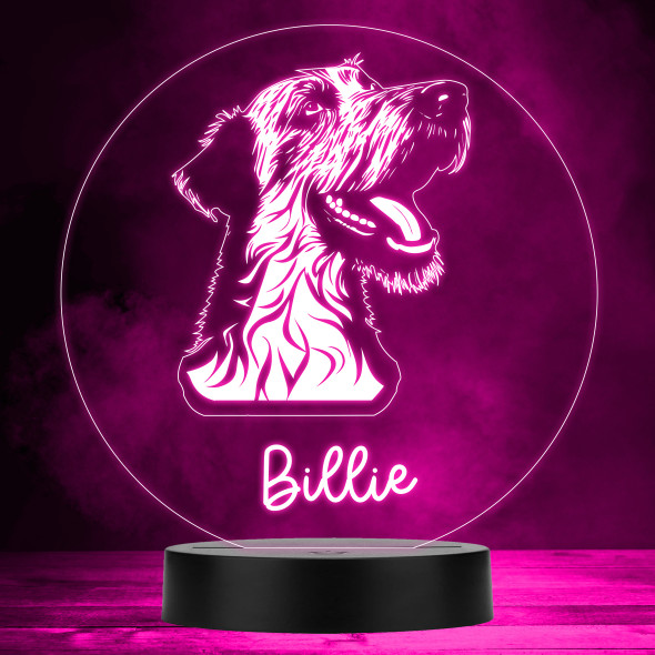 Irish Wolfhound Dog Pet MultiColor Personalized Gift LED Lamp Night Light