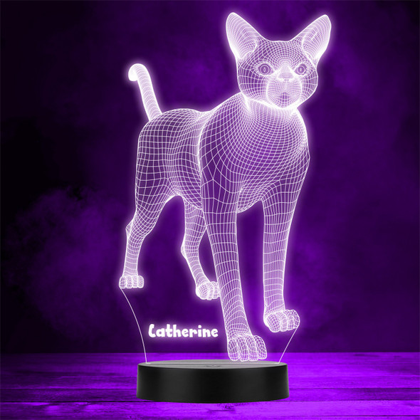 3D Geometric Gothic Cat Personalized Gift Color Changing LED Lamp Night Light