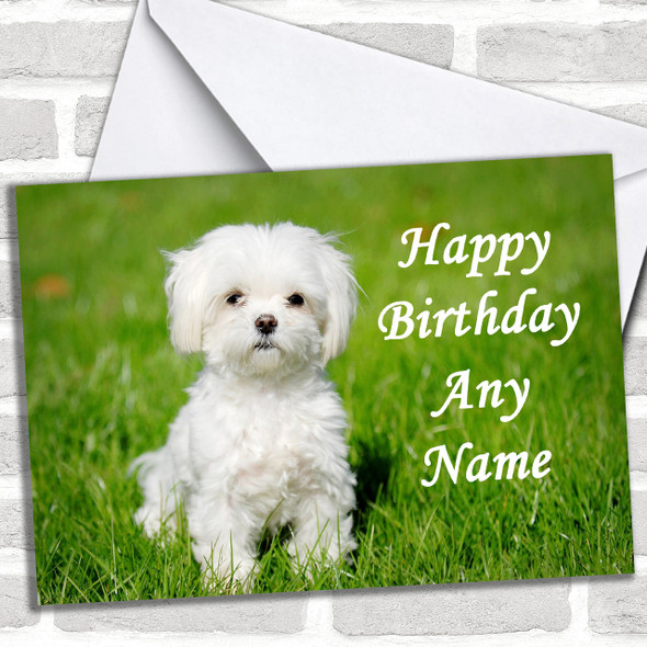 Maltese Terrier Dog Personalized Birthday Card